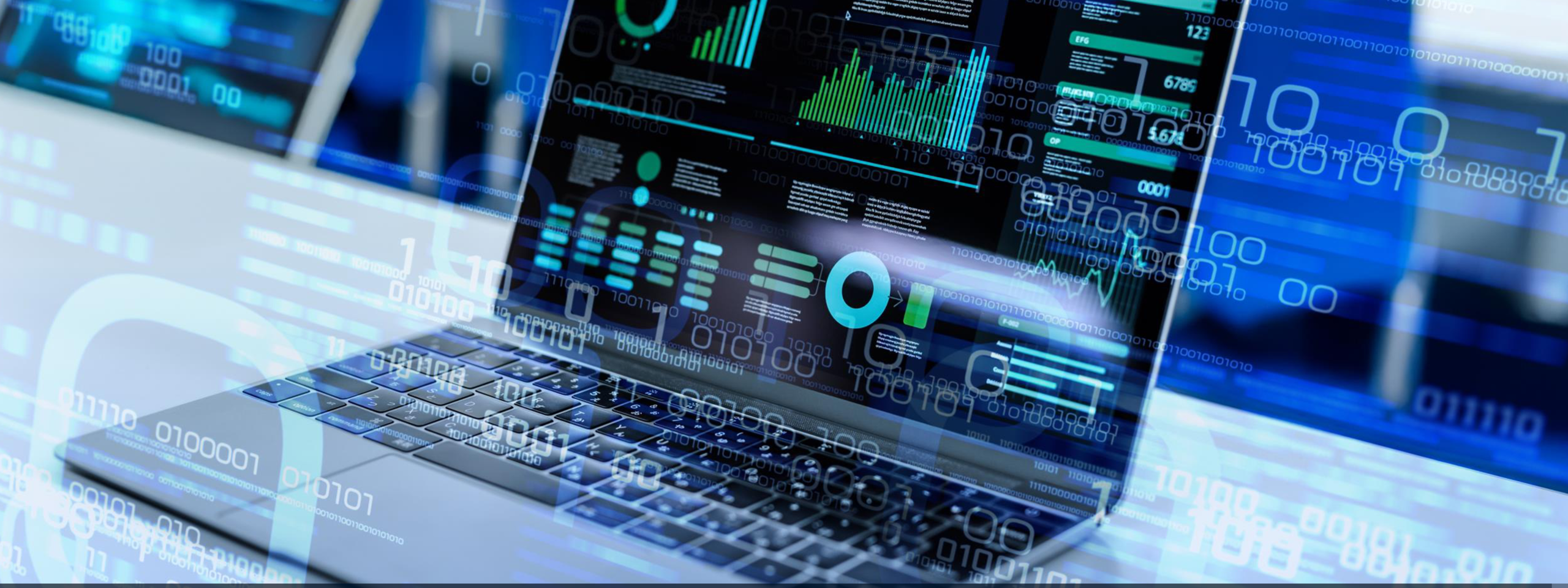 各種データ検証・調査ならお任せください。