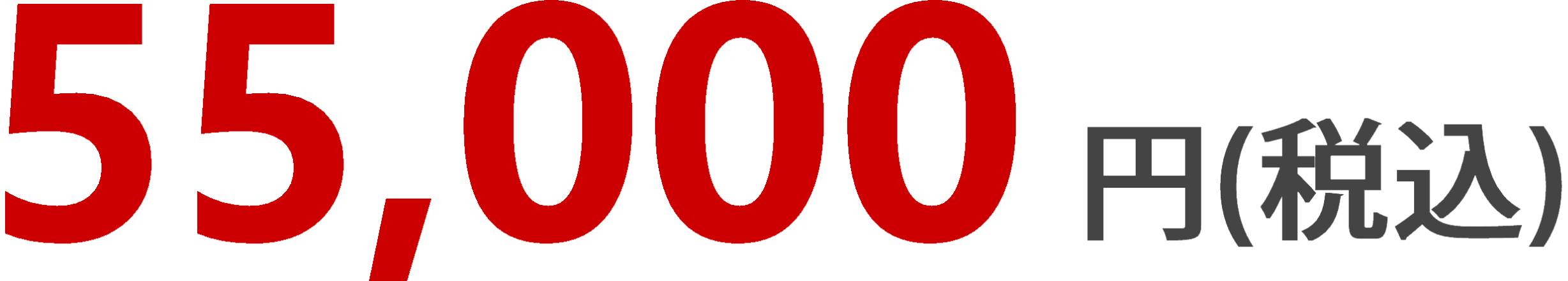 ハッキング・不正アクセス調査、55000円